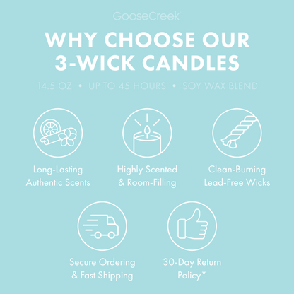 Blueberry Bunnycream Large 3-Wick Candle