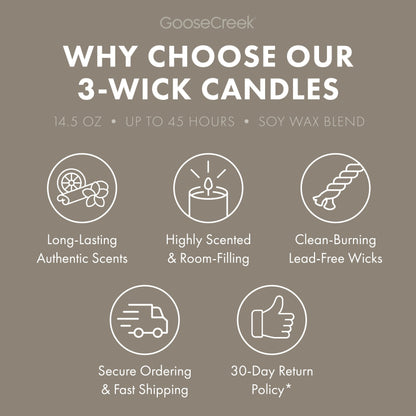 Cliffside Sea Spray Odor Eliminating 3-Wick Candle