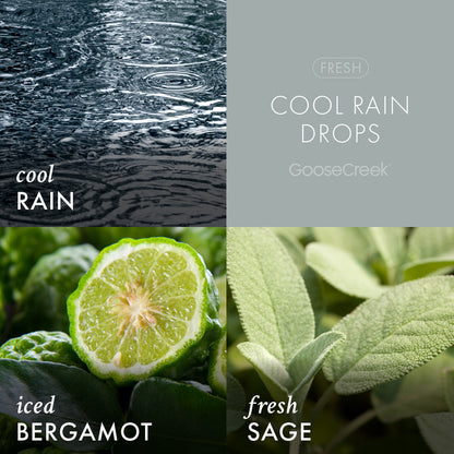 Cool Rain Drops Lush Foaming Hand Soap