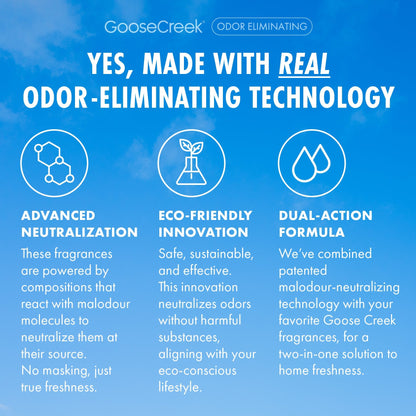 Lavender Vanilla Odor Eliminating Plug-in Refill