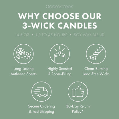 Minted Eucalyptus 3-Wick Candle