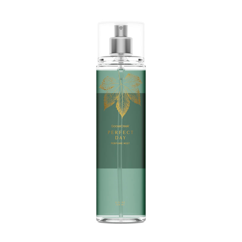 Perfect Day Body Mist V48