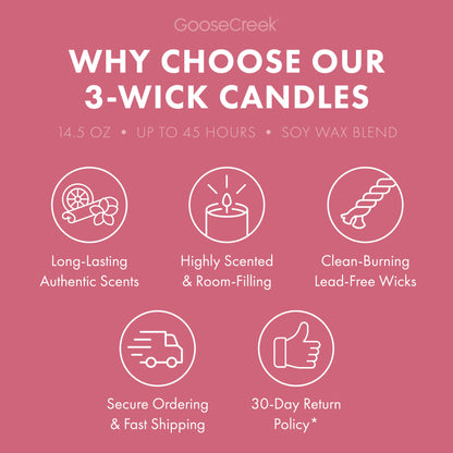 Raspberry Sorbet 3-Wick Candle